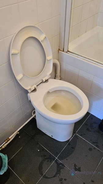  verstopping toilet Biddinghuizen